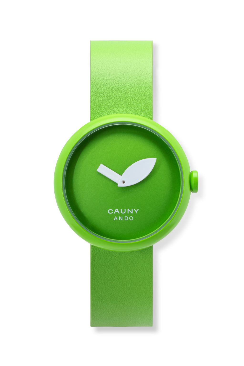 www.cauny.com